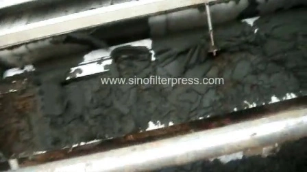China SS304 Belt Thickening Belt Filter Press for Sludge Dewatering